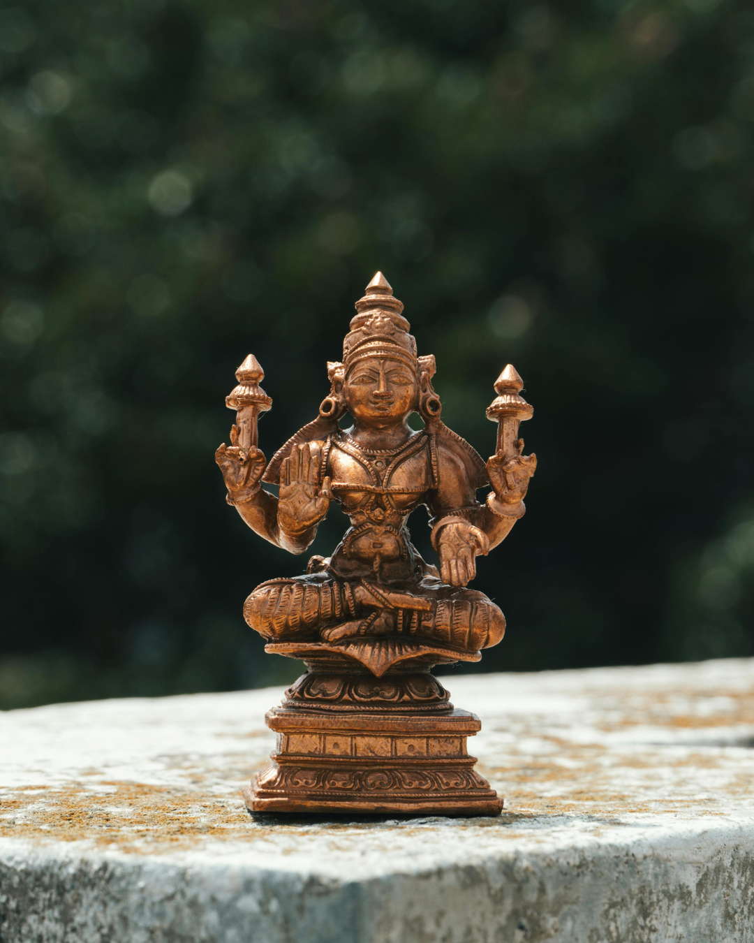 Patanjali Patanjali Yoga
