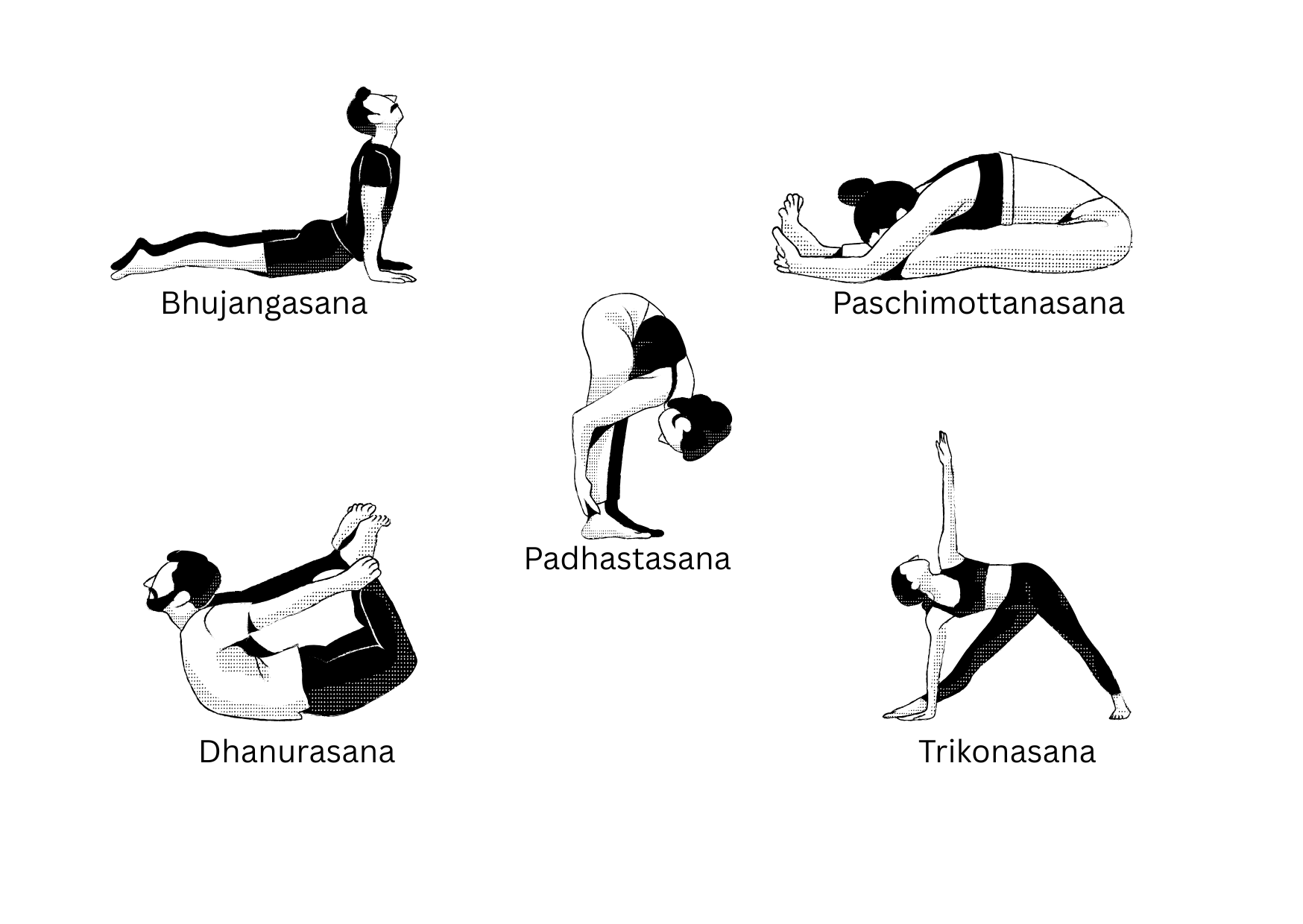 abdominal fat loss